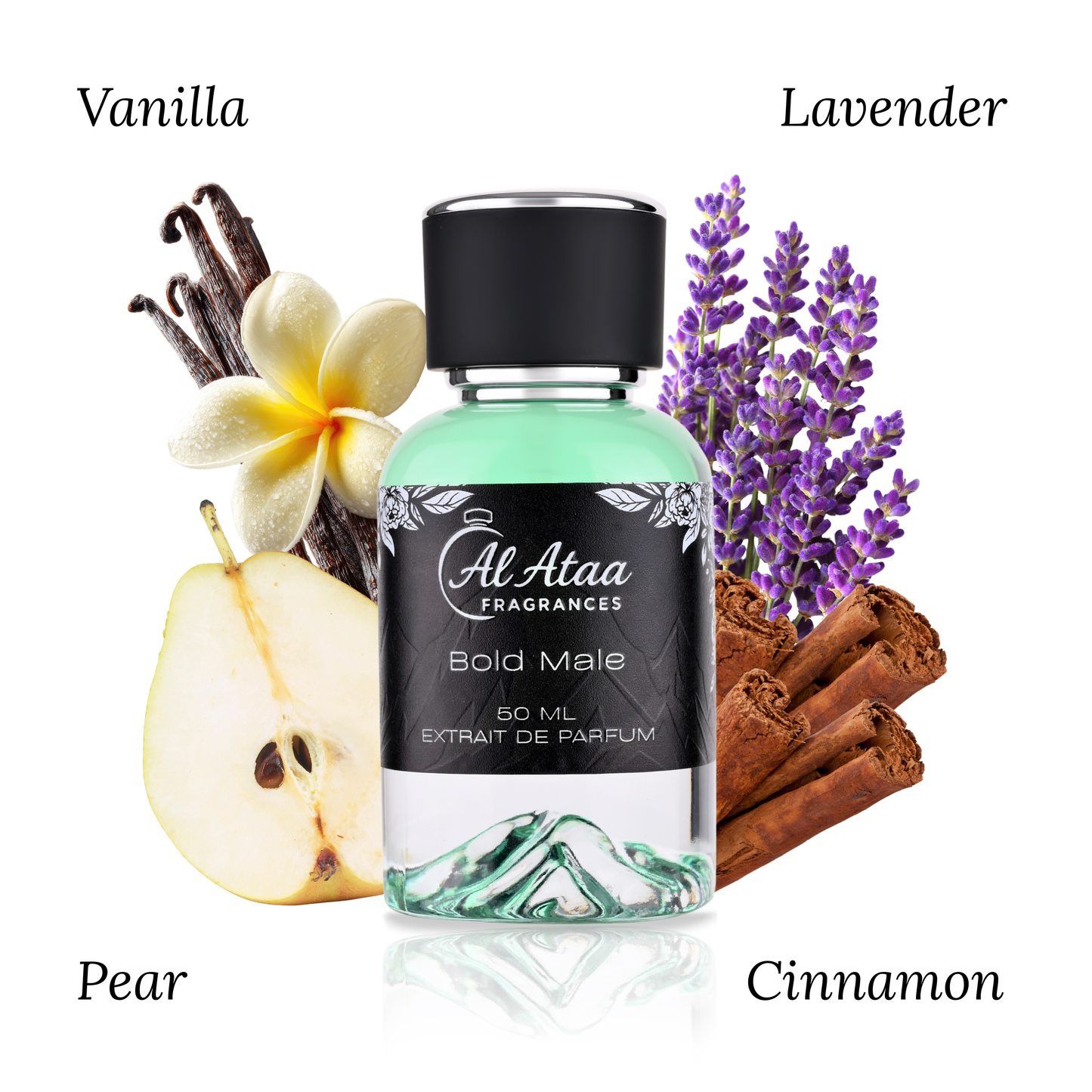 Bold Male - Inspired by Ultra Male JPG