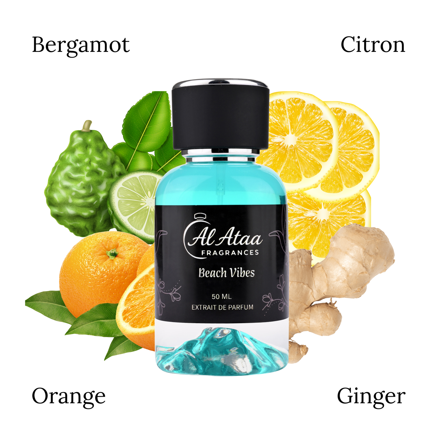 Beach Vibes - Inspired by Imagination LV